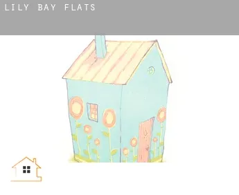 Lily Bay  flats