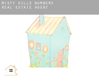 Misty Hills Numbers 1-7  real estate agent