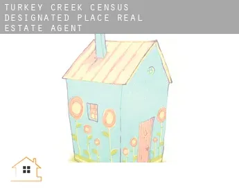 Turkey Creek  real estate agent