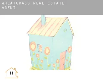 Wheatgrass real estate agent