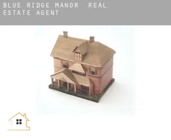 Blue Ridge Manor  real estate agent