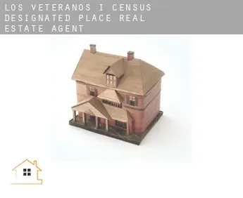 Los Veteranos I  real estate agent
