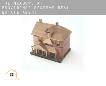 The Meadows at Providence Reserve  real estate agent