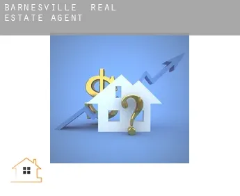 Barnesville  real estate agent
