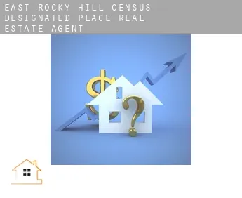 East Rocky Hill  real estate agent