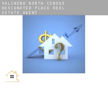 Salineno North  real estate agent
