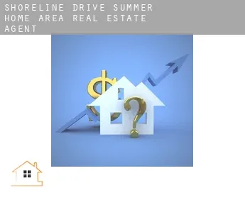 Shoreline Drive Summer Home Area  real estate agent
