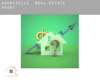 Akersville  real estate agent