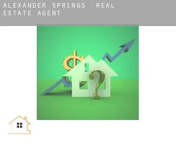 Alexander Springs  real estate agent