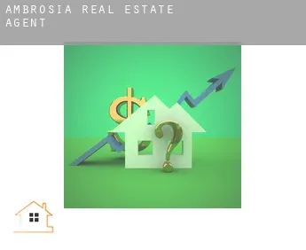 Ambrosia  real estate agent