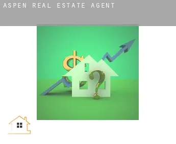 Aspen  real estate agent