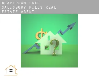 Beaverdam Lake-Salisbury Mills  real estate agent