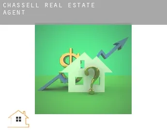 Chassell  real estate agent