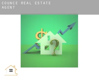 Counce  real estate agent