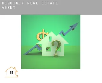 DeQuincy  real estate agent