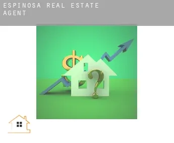 Espinosa  real estate agent