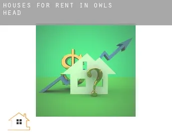 Houses for rent in  Owls Head