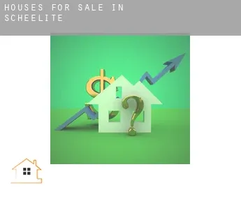 Houses for sale in  Scheelite