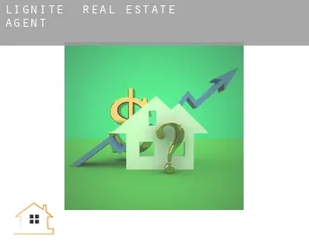 Lignite  real estate agent