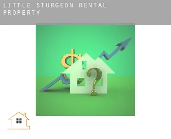 Little Sturgeon  rental property