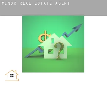 Minor  real estate agent