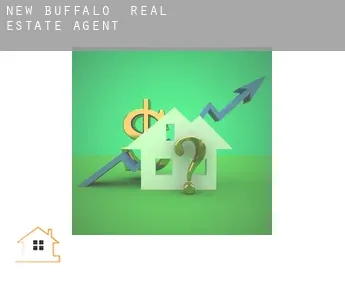 New Buffalo  real estate agent