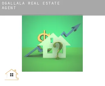 Ogallala  real estate agent