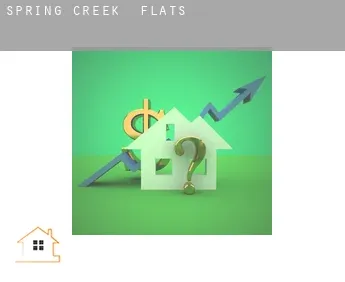 Spring Creek  flats