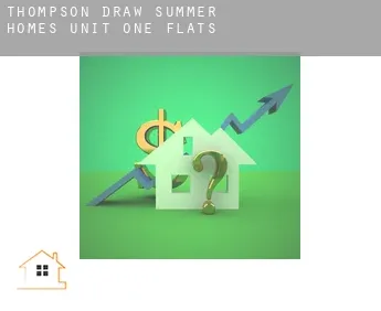 Thompson Draw Summer Homes Unit One  flats