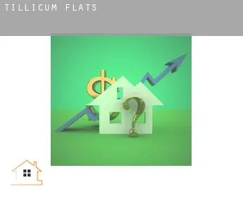 Tillicum  flats