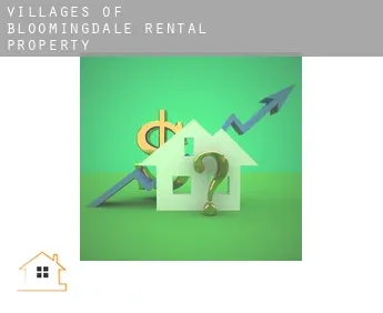 Villages of Bloomingdale  rental property