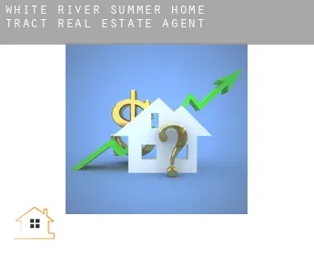 White River Summer Home Tract  real estate agent