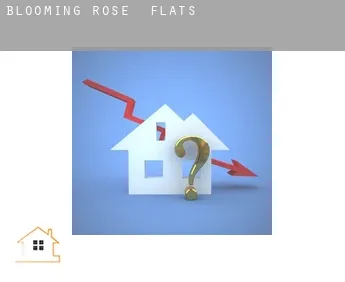 Blooming Rose  flats