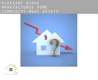 Pleasant Ridge Manufactured Home Community  real estate agent