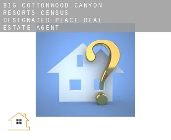 Big Cottonwood Canyon Resorts  real estate agent