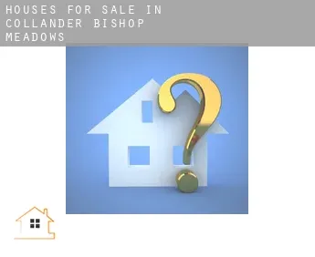 Houses for sale in  Collander-Bishop Meadows