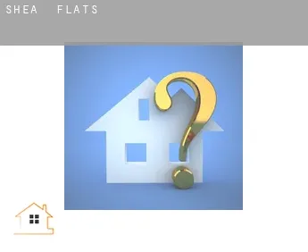 Shea  flats