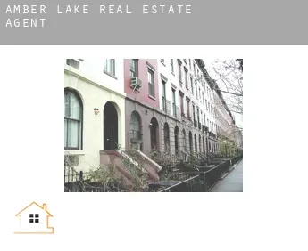 Amber Lake  real estate agent