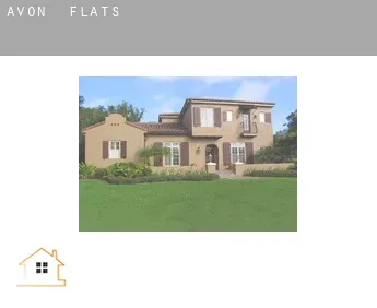 Avon  flats