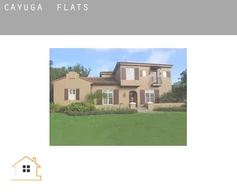 Cayuga  flats