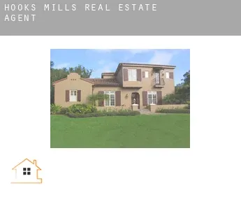 Hooks Mills  real estate agent