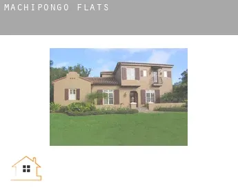 Machipongo  flats