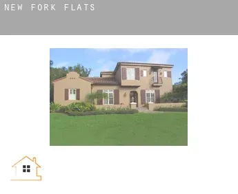 New Fork  flats