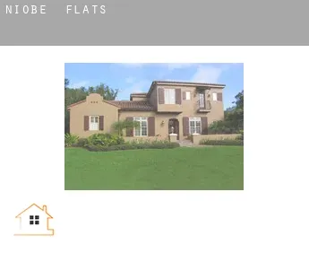 Niobe  flats