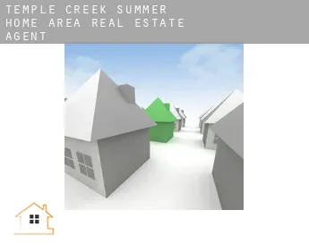 Temple Creek Summer Home Area  real estate agent