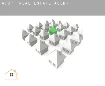 Acup  real estate agent