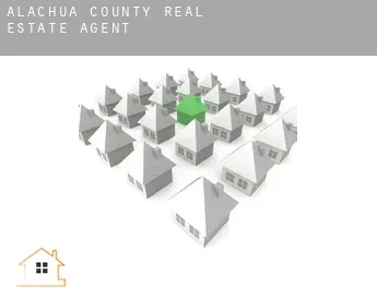 Alachua County  real estate agent