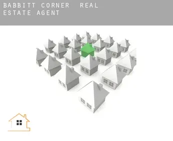 Babbitt Corner  real estate agent