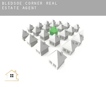 Bledsoe Corner  real estate agent