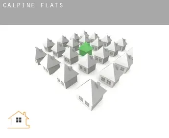 Calpine  flats